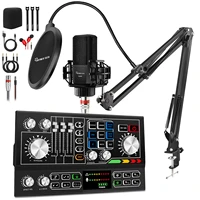 hayner seek professional recording all in one studio sound card with 25mm studio condenser microphone audio mixer live streamin