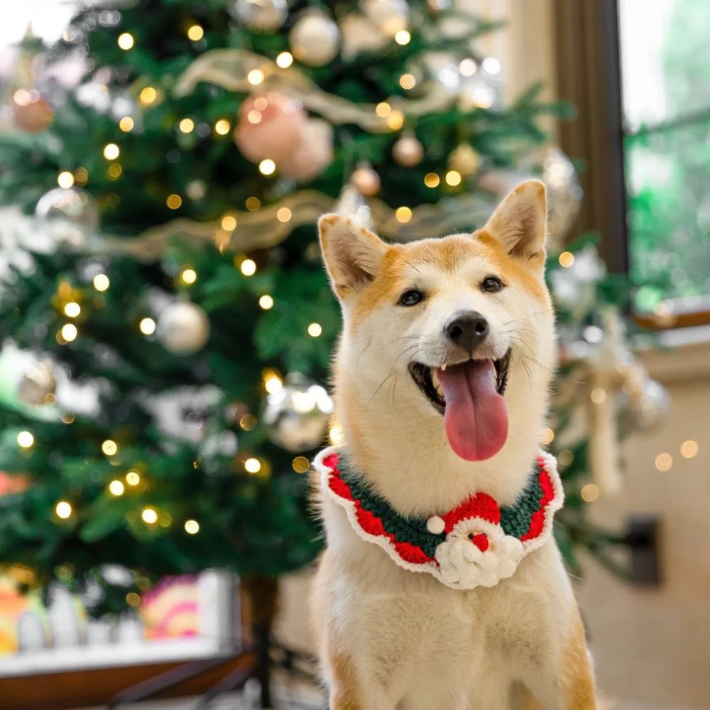 

Dog Accessories Christmas Cat Bell Collar Bow Tie Scarf Kitten Bib Pet Cute Woven Ornament For Small Medium Large Dogs
