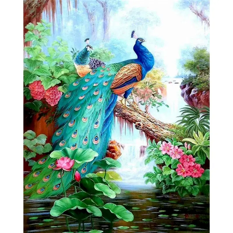 

CHENISTORY Paintings By Numbers Peacock Animal DIY Coloring Paint Home Decor Canvas Painting For Living Room Artwork Picture