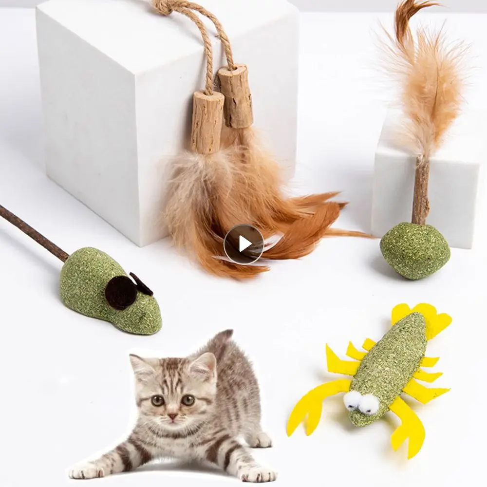 

Игрушки для домашних питомцев, мята для кошачьей мяты, мята для безопасности, здоровая кошка, мята, кошки, игрушки для домашней игры, продукт...