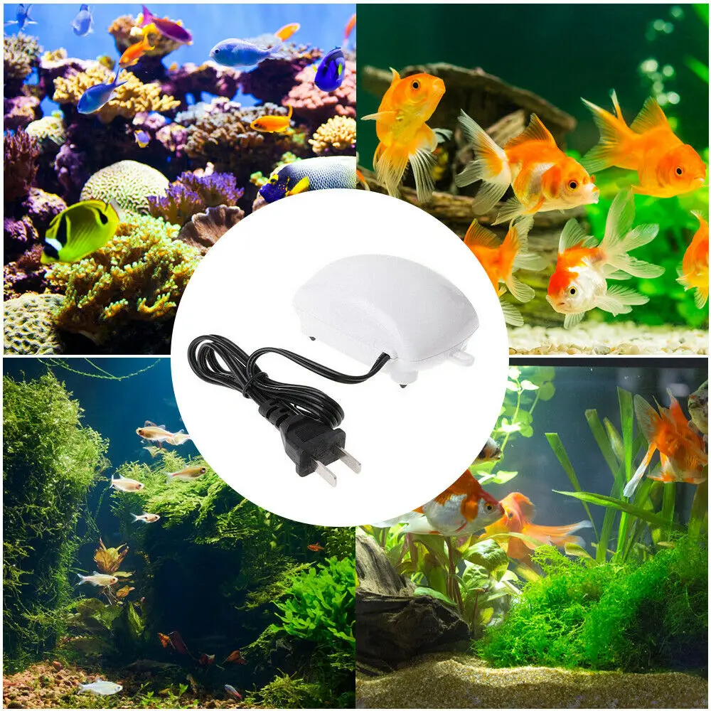 Air Bubble Disk Stone Aerator Aquarium Fish Tank Pond Pump Hydroponic Oxygen | Pumps & Accessories