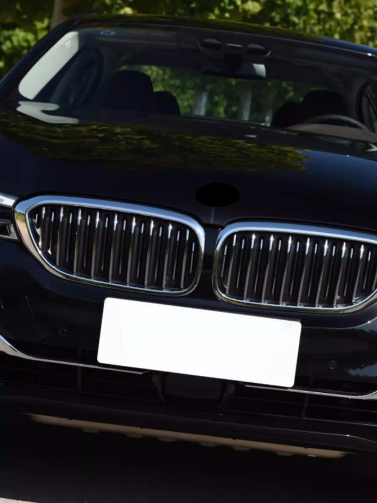 Решетка для переднего бампера автомобиля BMW 5 серии 525Li F18 F10 G30 G38 2011-20 маска сетка