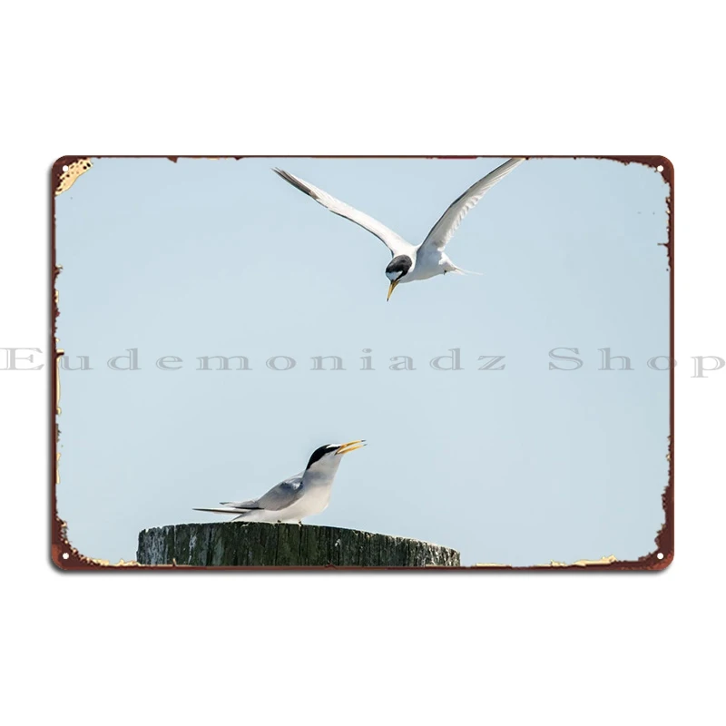 

Приближаются металлические знаки, забавные фотообои, кухонный жестяной плакат