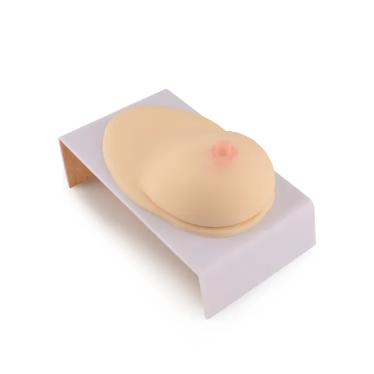 Модель женской силиконовой груди ультраassist для лактационного образования
