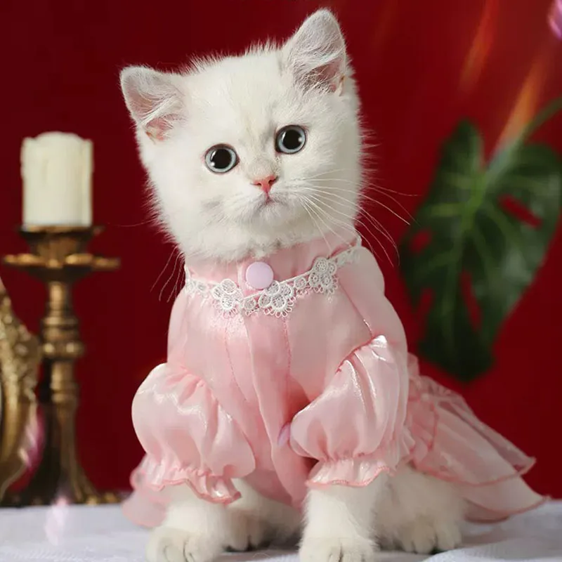 

Summer New Vintage Cat Lovely Dress Pet Clothing European Aristocratic Style Cat Clothes Luxury Thin Pet Apparel Pet Supplies