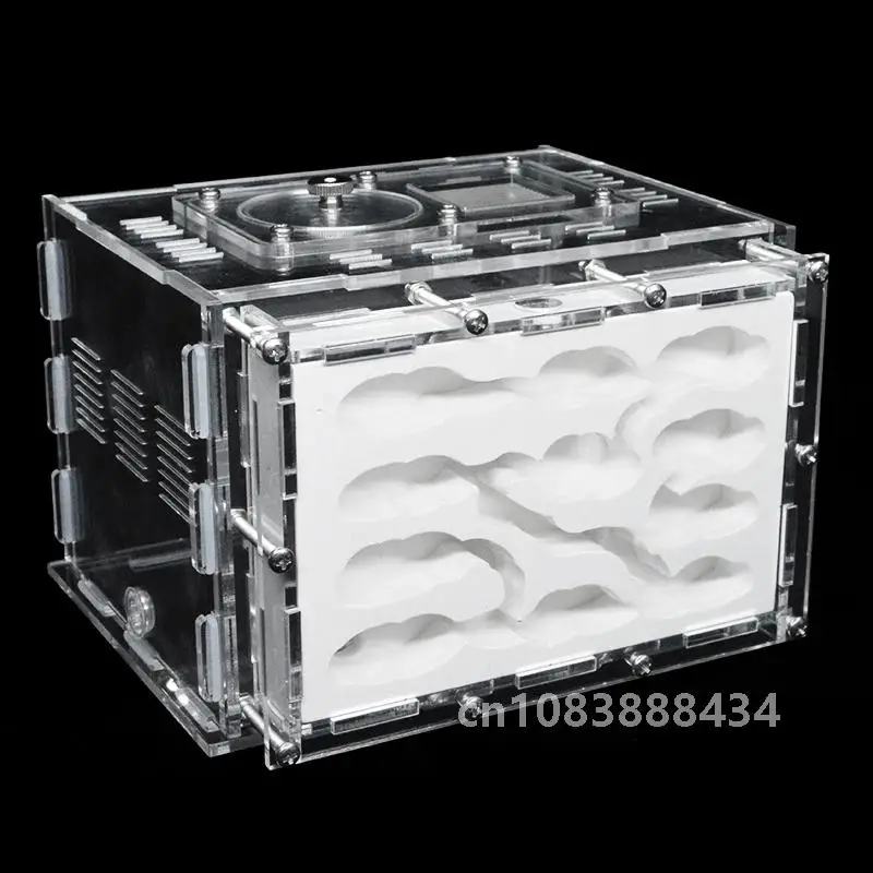 DIY акриловая ферма муравьев гипс экологический дом для домашних животных антарль