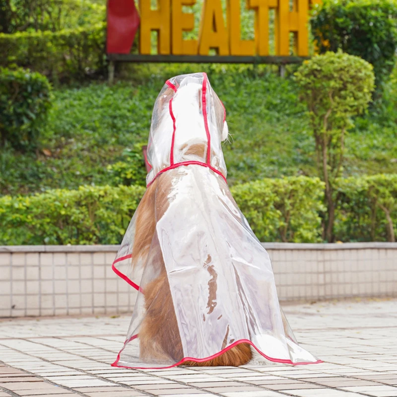 Одежда для домашних животных прозрачный уличный дождевик больших собак золотые