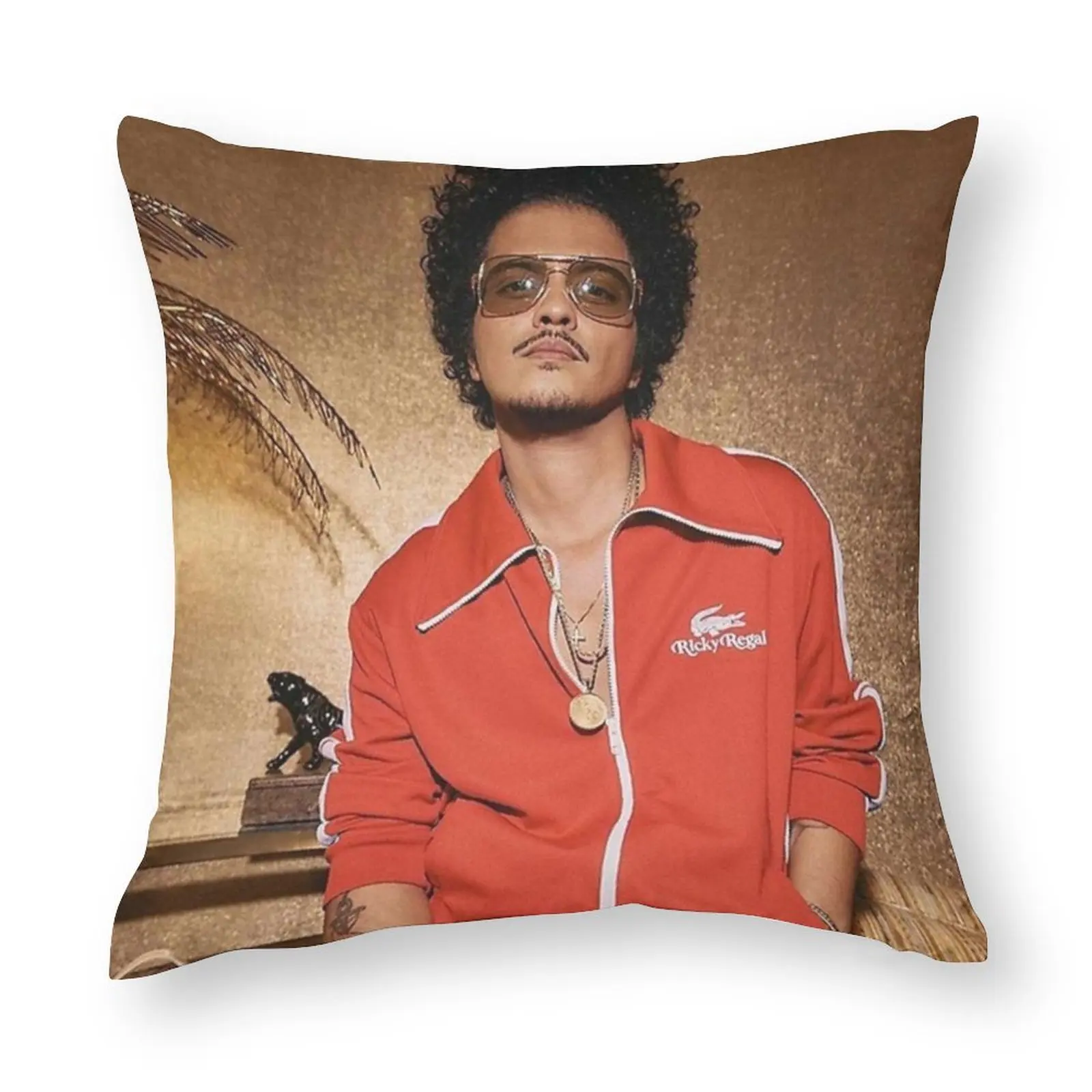 

Чехол с изображением музыкальной подушки и альбома «Stay With Mars»