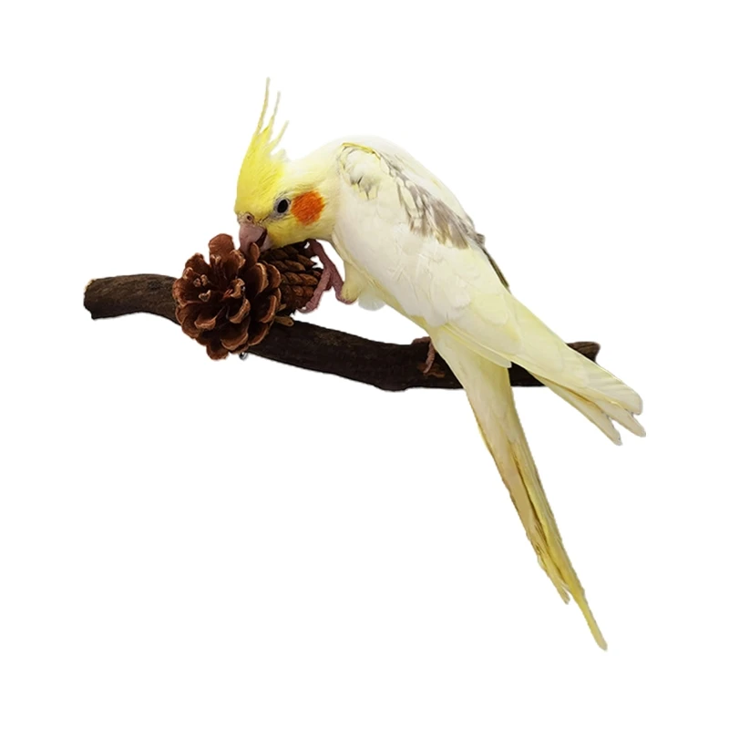 

Natural Tree Vine Wood Parrot Perches Bird Stand Pole Paw Grinding Stick Parakeet Climbing Standing Branch Toys Cage Accessories