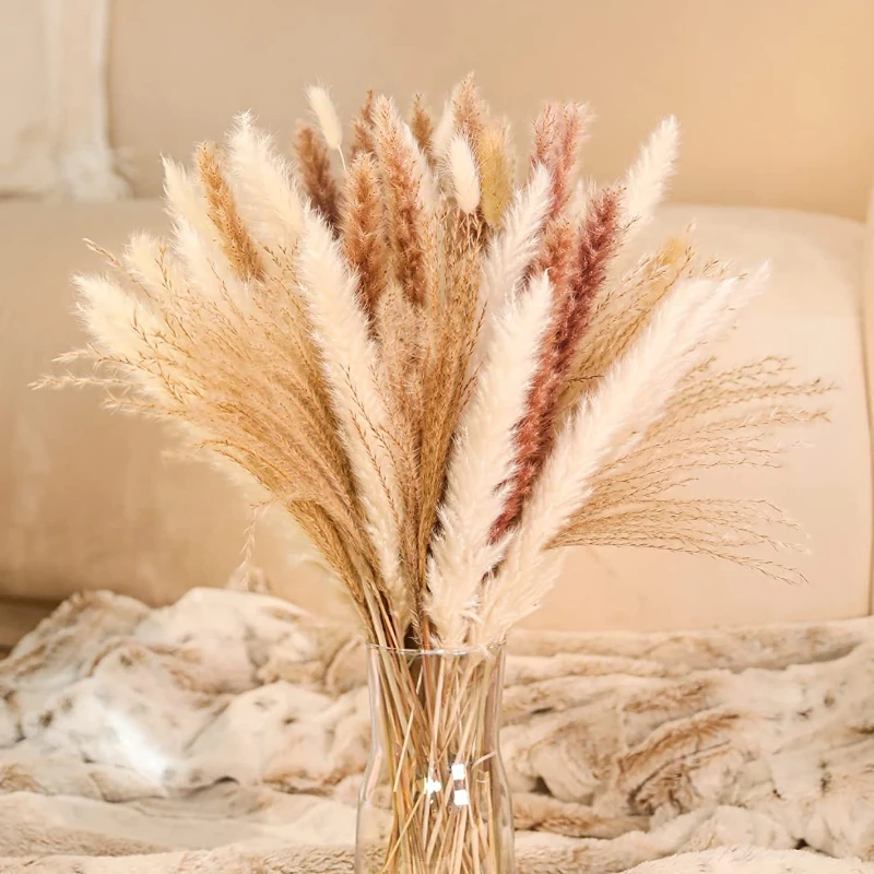 

10/15Pcs Natural Pampas Grass Dried Plume Decoration Fluffy Reed Plants Wedding Flower Arrangement For Home Living Room Decor