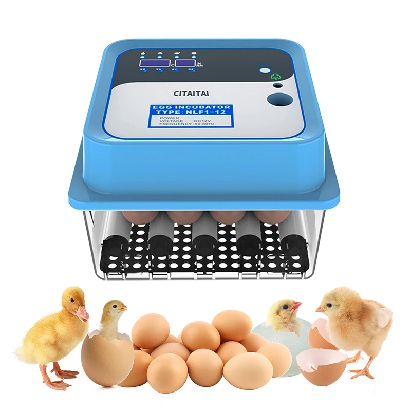 

12 Eggs Incubator Fully Automatic Egg Incubator Farm Chicken Bird Duck Quail Household Brooder Poultry for Chicken Hatcher