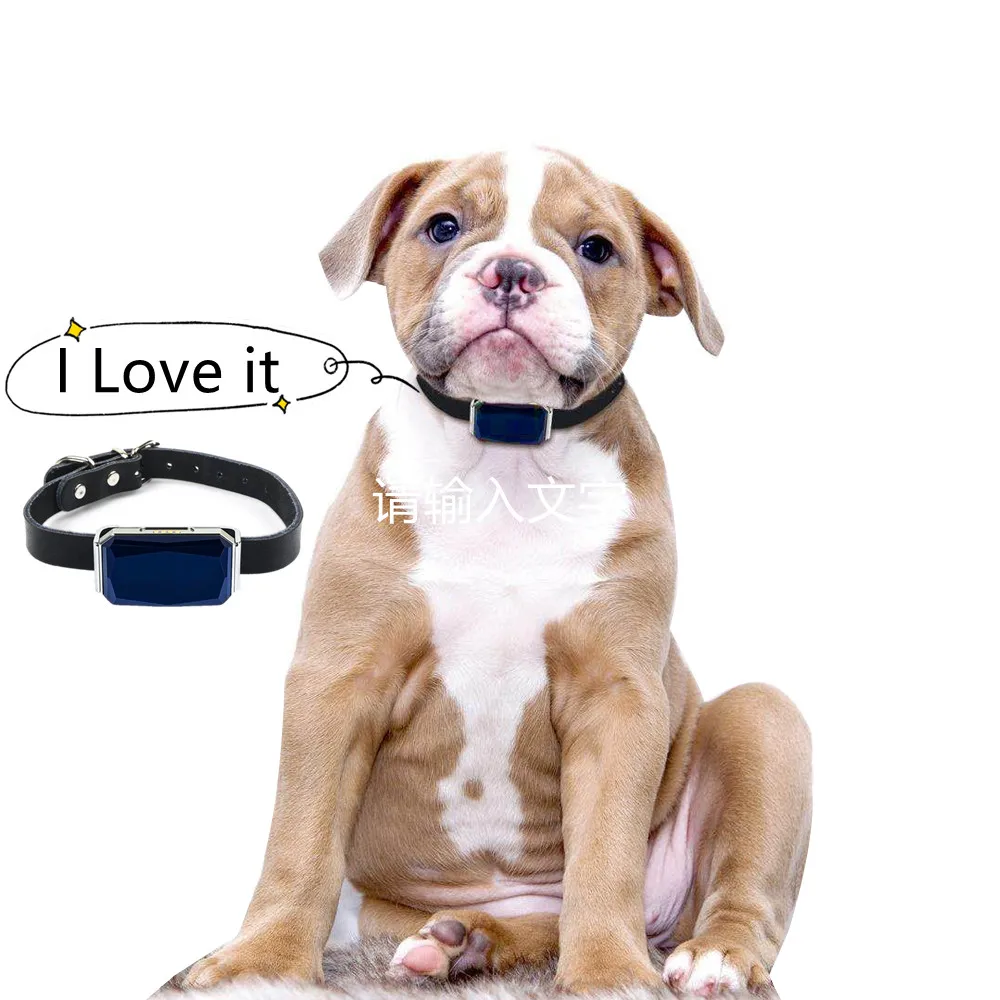 

IP67 ЗАЩИТА для кошек гео-забор SOS отслеживание в реальном времени сигнализация против потери животных GSM ошейник для ухода за питомцами умный...