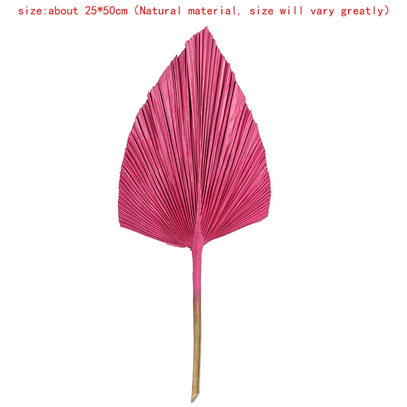 Сушеный цветок веер на Пальму листья растений подсолнечника домашний декор окно