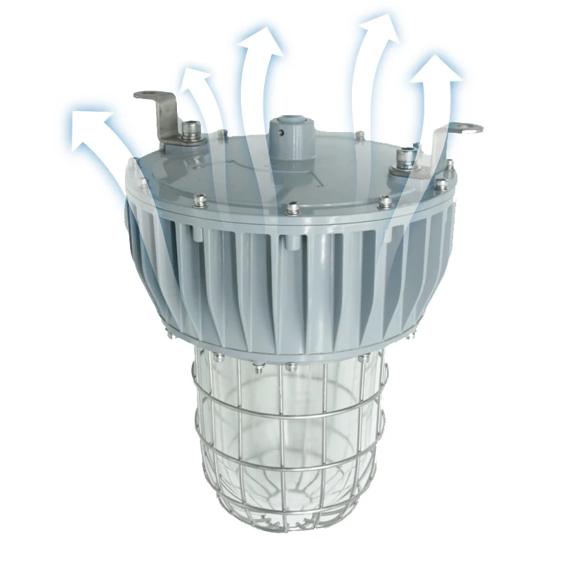 

Аварийное место взрывозащищенное аварийное освещение промышленность химическая заправочная станция туннельное освещение s Ip66 светодиодное взрывозащищенное освещение серии G