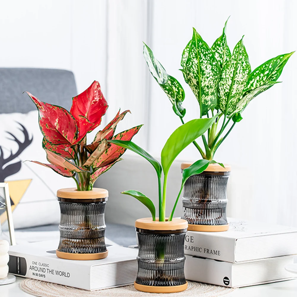 Простая в использовании самополивающаяся кастрюля предотвращает раствор не