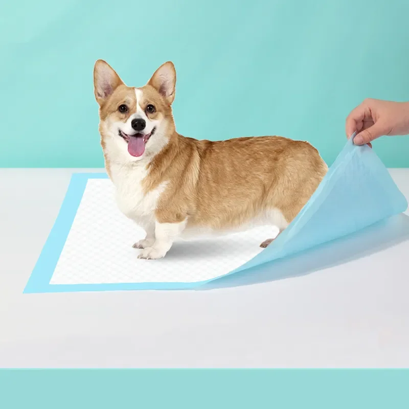 

Подгузник для мочи для домашних животных, одноразовый водно-абсорбирующий, утолщенный дезодорант, для кошек и собак