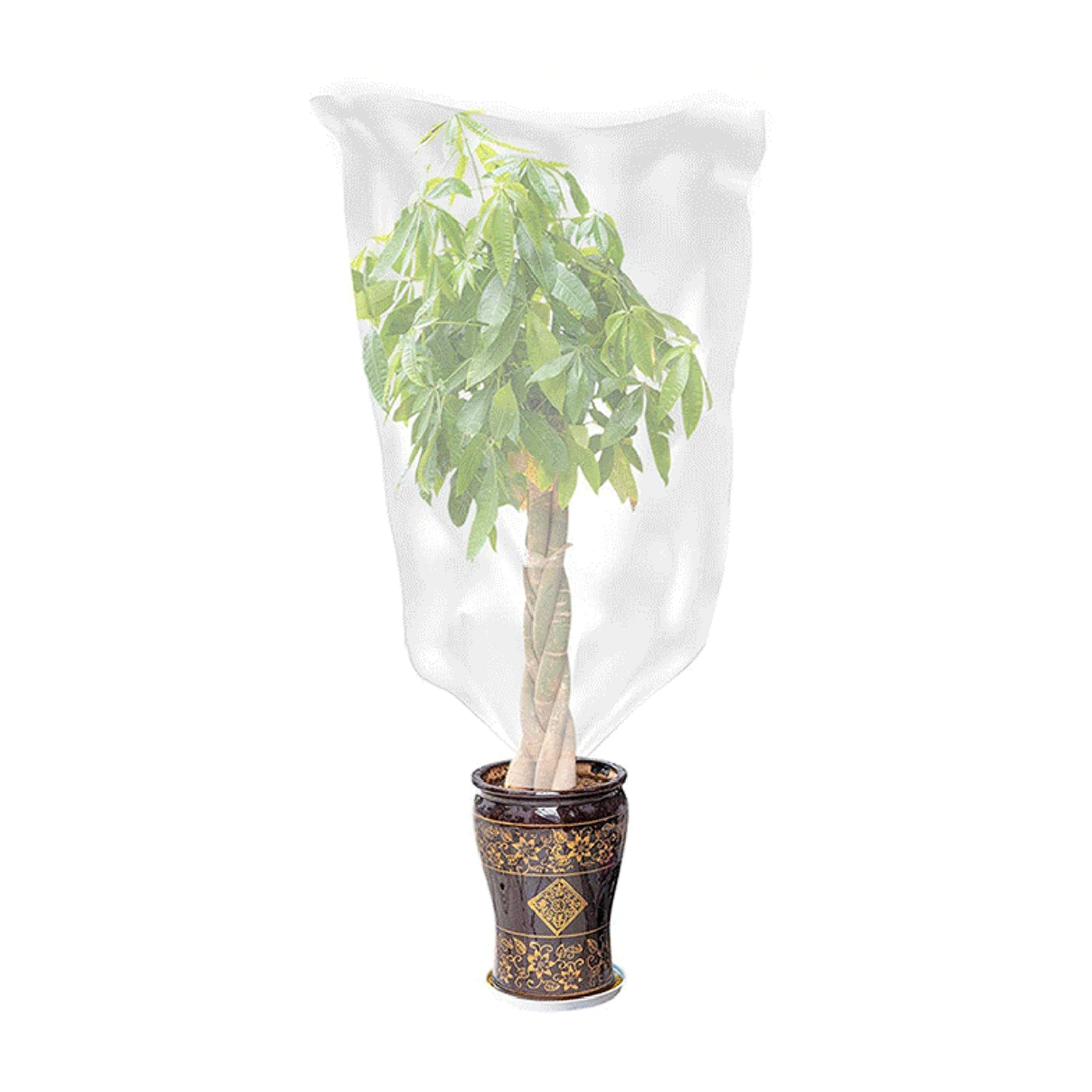 

Plant Anti-freeze Insulation Bag Breathable and Rainproof Design Cover for Fruit Bearing Bushes Pepper