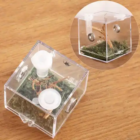Пластиковая маленькая коробка для разведения насекомых, прозрачная Кормушка Для Прыгающего паука, клетка для кормления паука, фотоскорпио...