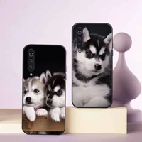 husky funny cute animals phone case for samsung galaxy a s note 10 12 20 32 40 50 51 52 70 71 72 21 fe s ultra plus