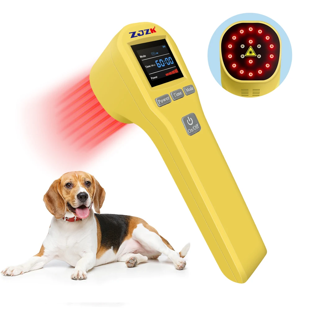 

Powerful 808nm Medical Cold Laser Therapy Device For Sinus Laser Joint Therapy Laser Pain Therapy Machine