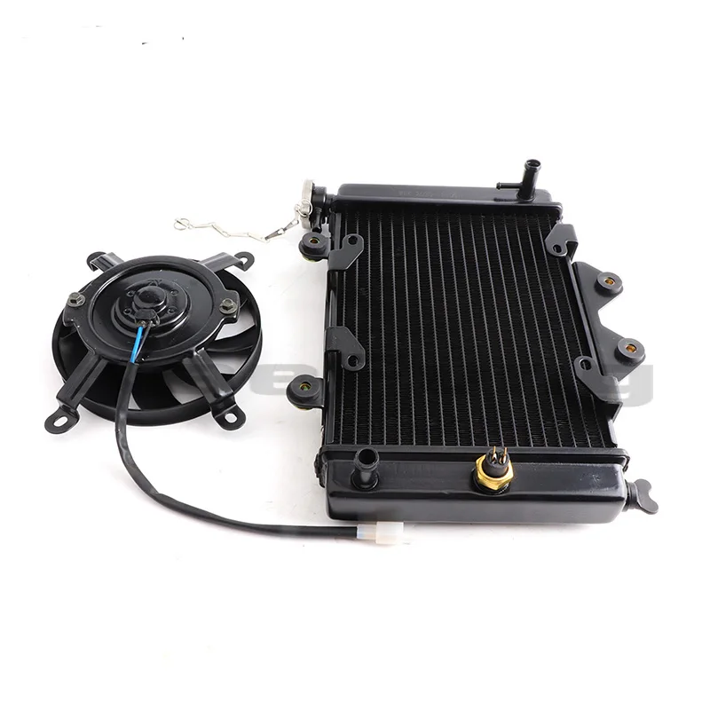 

ATV Radiator Koeler 200CC 250CC 300CC Water Cooling Engine Cooler Radiator with Fans for Motorcycle Motor Quad 4x4 UTV