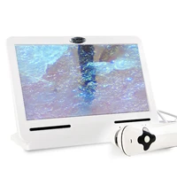 professional 3d smart 10 1 inch screen smart portable beauty apparatus hair machine facial skin test skin analyzer