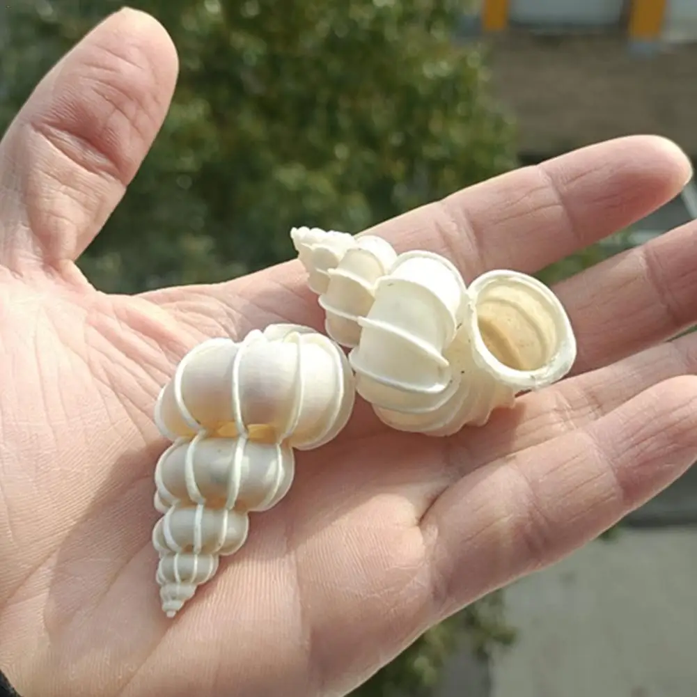 

Натуральная Улитка ракушка образец коллекция аквариума для аквариума домашний стол декорация рукоделие хобби украшения из кораллов Mini Shell