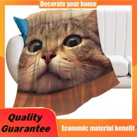 fleece flannel throw blanket classic air conditioned quilts smothness home blanket cute cat pattern bed throws for women men