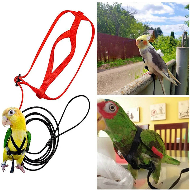 

Тренировочная Летающая Тяговая веревка, тренировочная веревка с защитой от укусов, поводок для птиц, летающая веревка для попугаев, летающая веревка