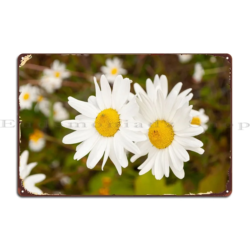 

Ромашки в поле металлические знаки клуб бар ретро паб стена Жестяная Табличка с надписью постер