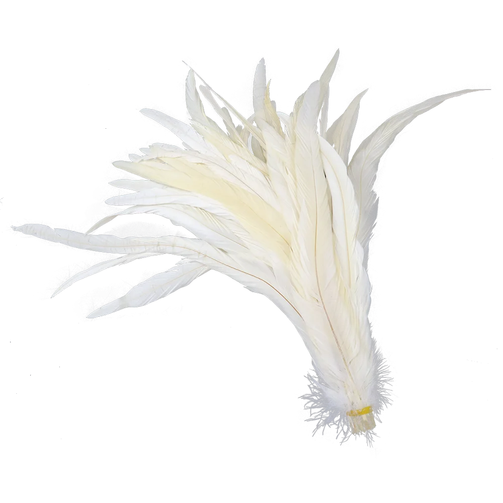 изделия из страусиных перьев. лебединое перо. белая цапля эгрета. перо из петушиного хвоста. перо страуса белое.