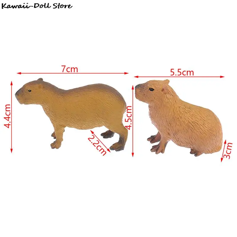New Simulation MIni Cute Wild Animals Model Capybara Action Figure Children's Collection Toy Gift Simulation Animals Model images - 6
