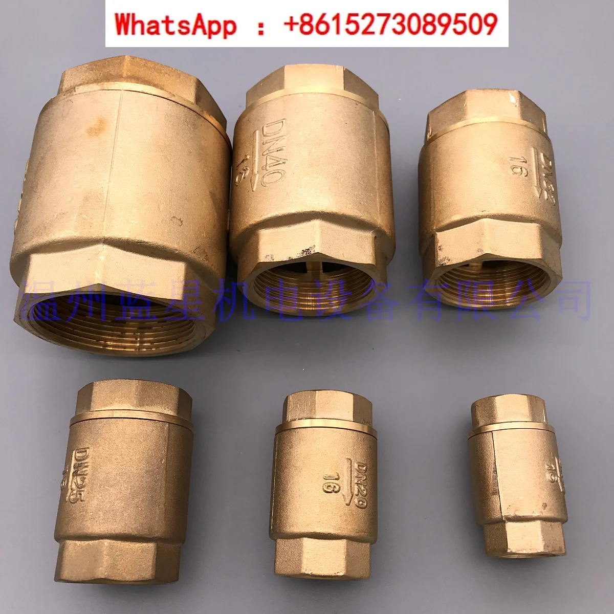 Вакуумный насос односторонний обратный клапан фотоэлемент 1/2 1 2 2-дюймовый с