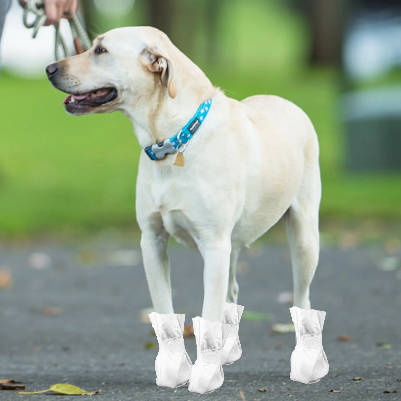 

4pcs Disposable Dog Shoes Outdoor Pets Boots Cloth Dog Shoes with Adjustable Strap