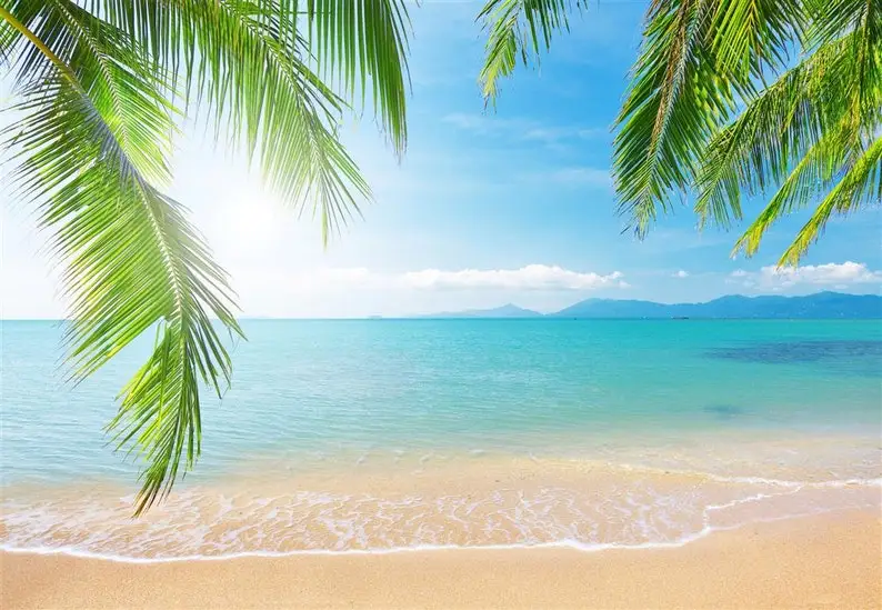 

Beach wall decal palm tree, tropical coast wall decal for living room and bedroom, coast wall art poster beach photo room decora