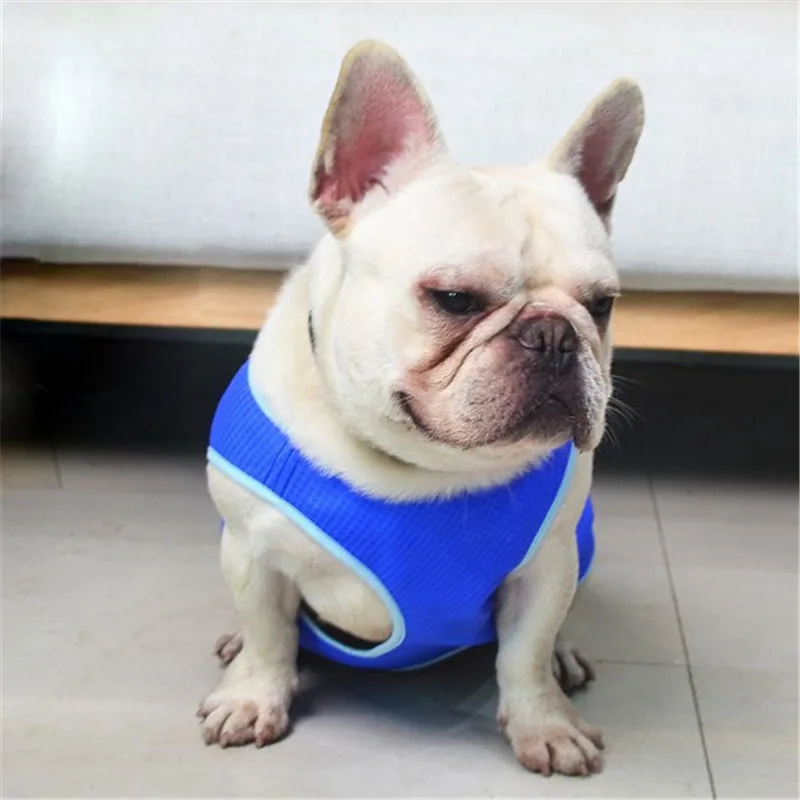 

Dog Vest Jacket Adjustable Outdoor XS/S/M/L Cool Dog Puppy Comfortable Reusable
