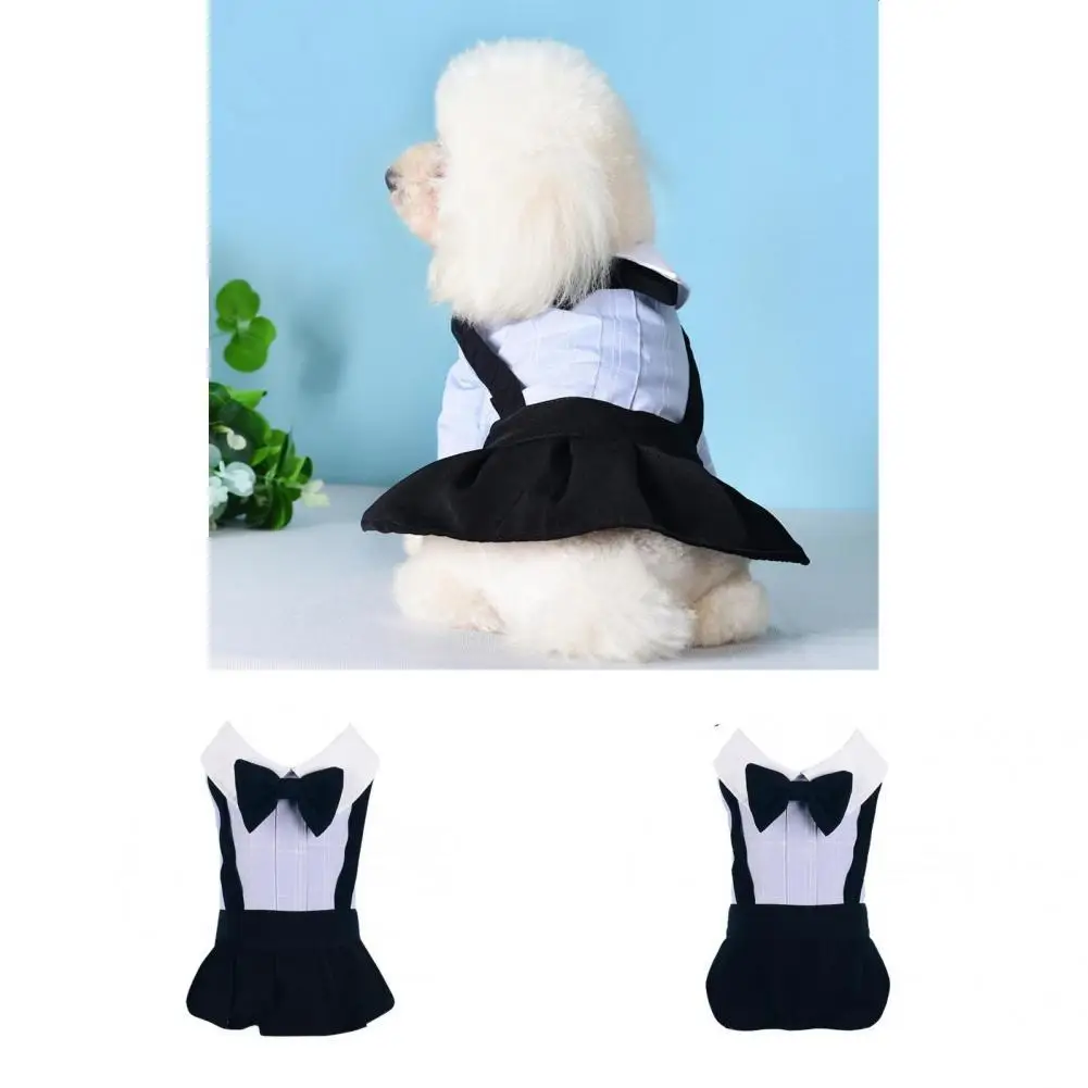 

Привлекательные стильные юбки из искусственной ткани для собак, подходит для повседневной носки