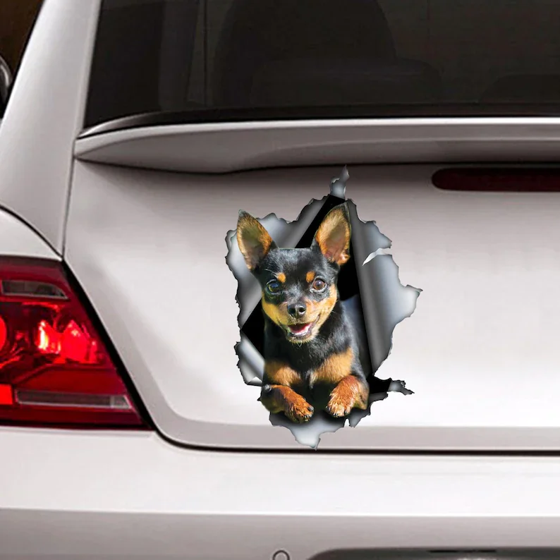 

Black and tan Chihuahua car decal, torn metal decal, chihuahua car decal