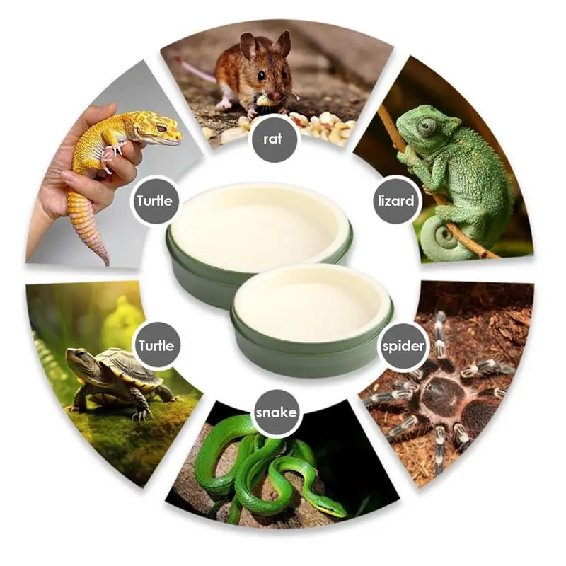 

Reptile Water Bowl Reusable Feeding Food Water Pot Reptile Turtle Tortoise Scorpion Lizard Crabs Bearded Supplies Dropshipping