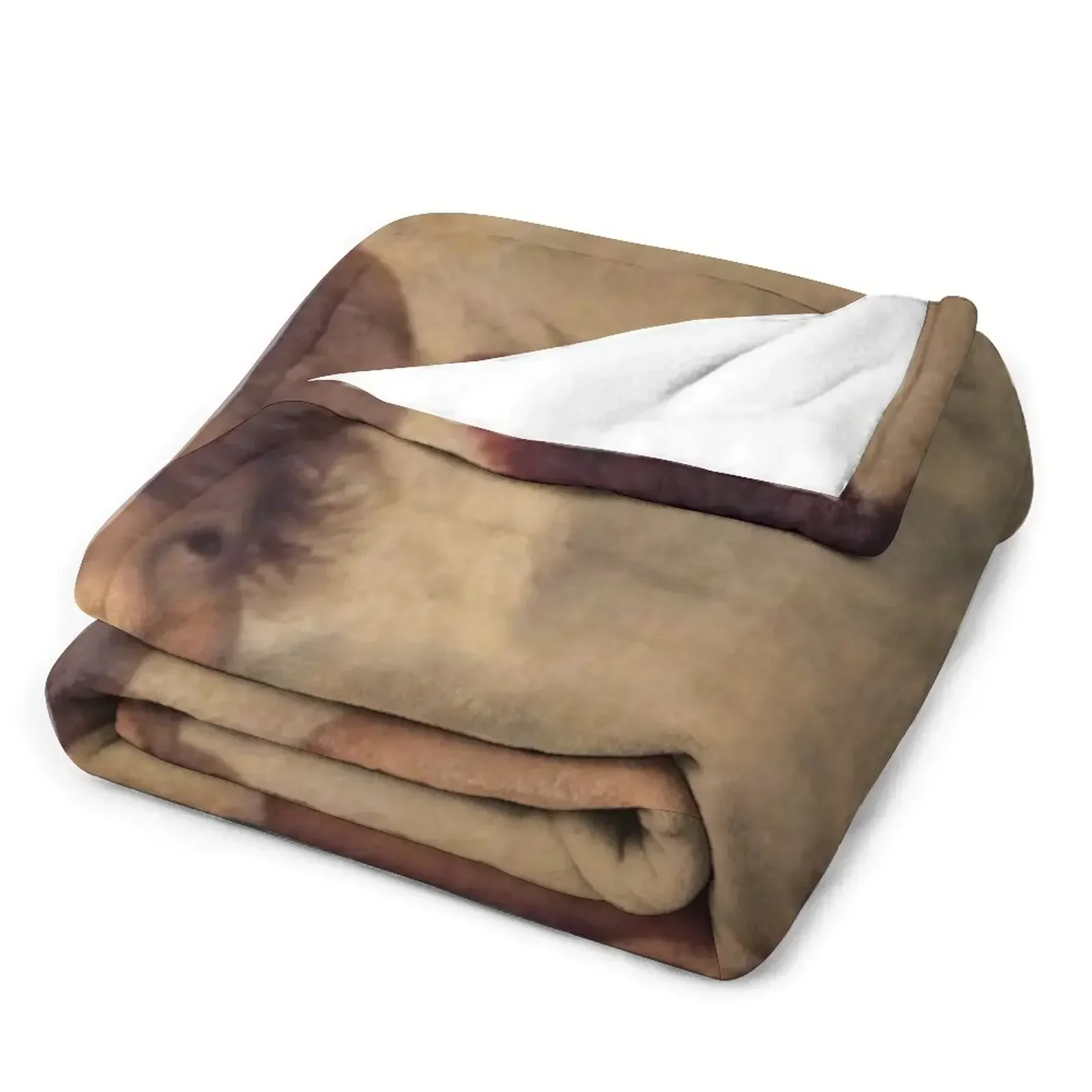 Новинка THE SISTINE MADONNA (детали) — одеяло RAPHAEL свободные фланелевые одеяла