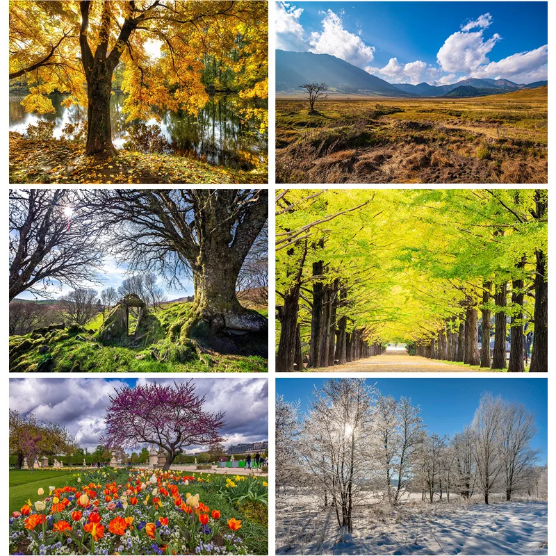 

SHENGYONGBAO Natural Scenery Photography Background Spring Landscape Travel Photo Backdrops Studio Props 21420 CDE-01