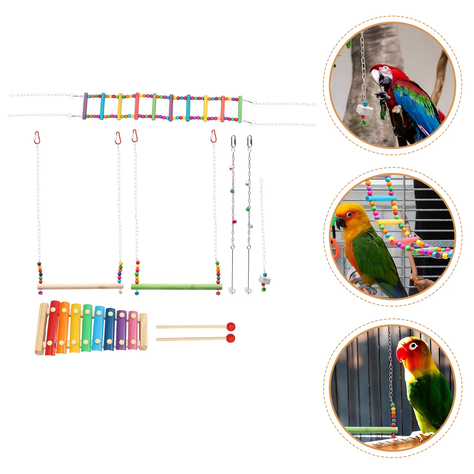 

1 Set Bird Parrot Swing Kit Parrot Climbing Parakeet