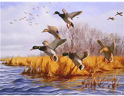 

Металлический жестяной знак, Декор, железная живопись, утки, летают, Осень-зима, водное дерево, пейзаж, живопись, ферма, винтажное художестве...