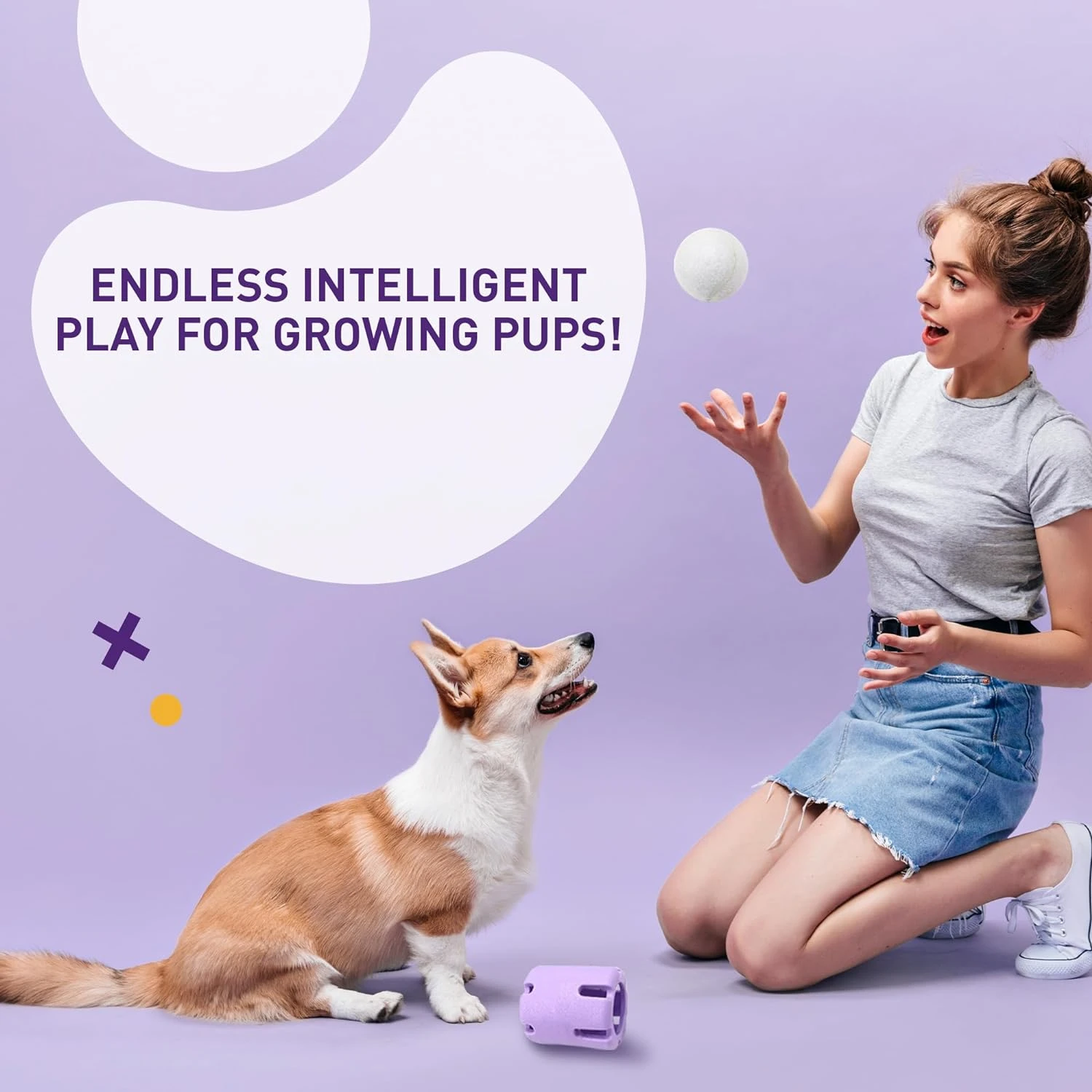 Идеальная игрушка Tennis-ball Fetch Addicted для маленьких средних и больших собак которые