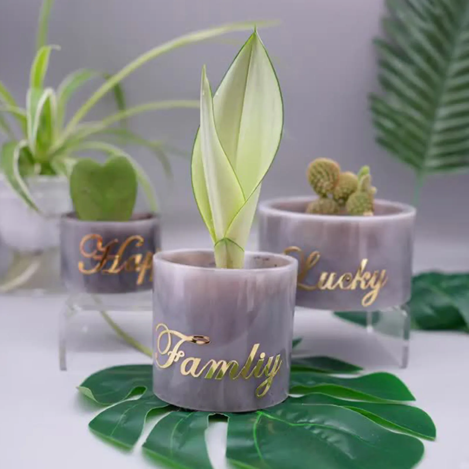 

Эпоксидная форма для плантатора, горшка для суккулентов, плантатор для бетона, плантатор для самостоятельного изготовления