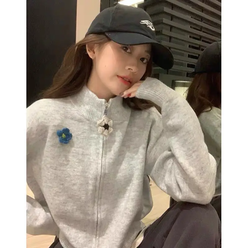 

Design Sense Grey Zipper High Neck Sweater Women's Autumn/winter Loose Short Knitted Cardigan Top