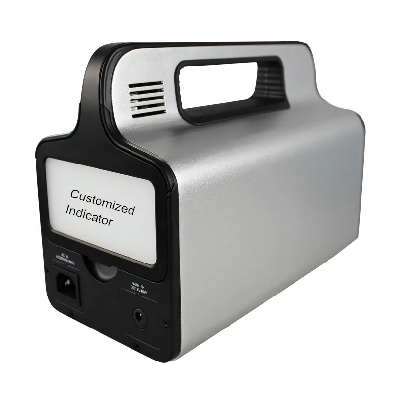 

Pure Sine Wave UPS with DC AC Inverter 300W Lithium Battery Power