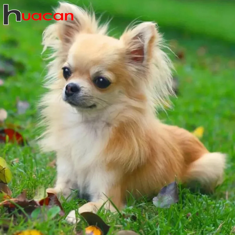 

Алмазная мозаика Huacan 5D с собакой, картина с животными, вышивка крестиком, полный комплект, креативное украшение для дома, хобби