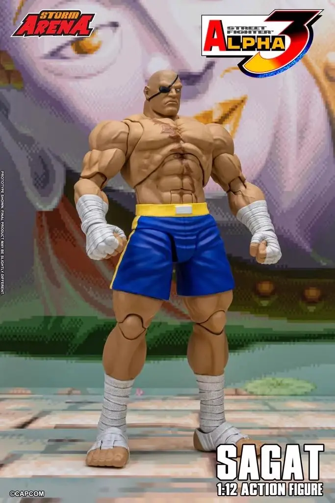 Фото В наличии: Фигурка Storm Arena DAN Sagat, 6 дюймов, масштаб 1/12, коллекционная модель, игрушка Storm Toys ST, малый размер, SF Alpha 3 ZERO Tiger №2