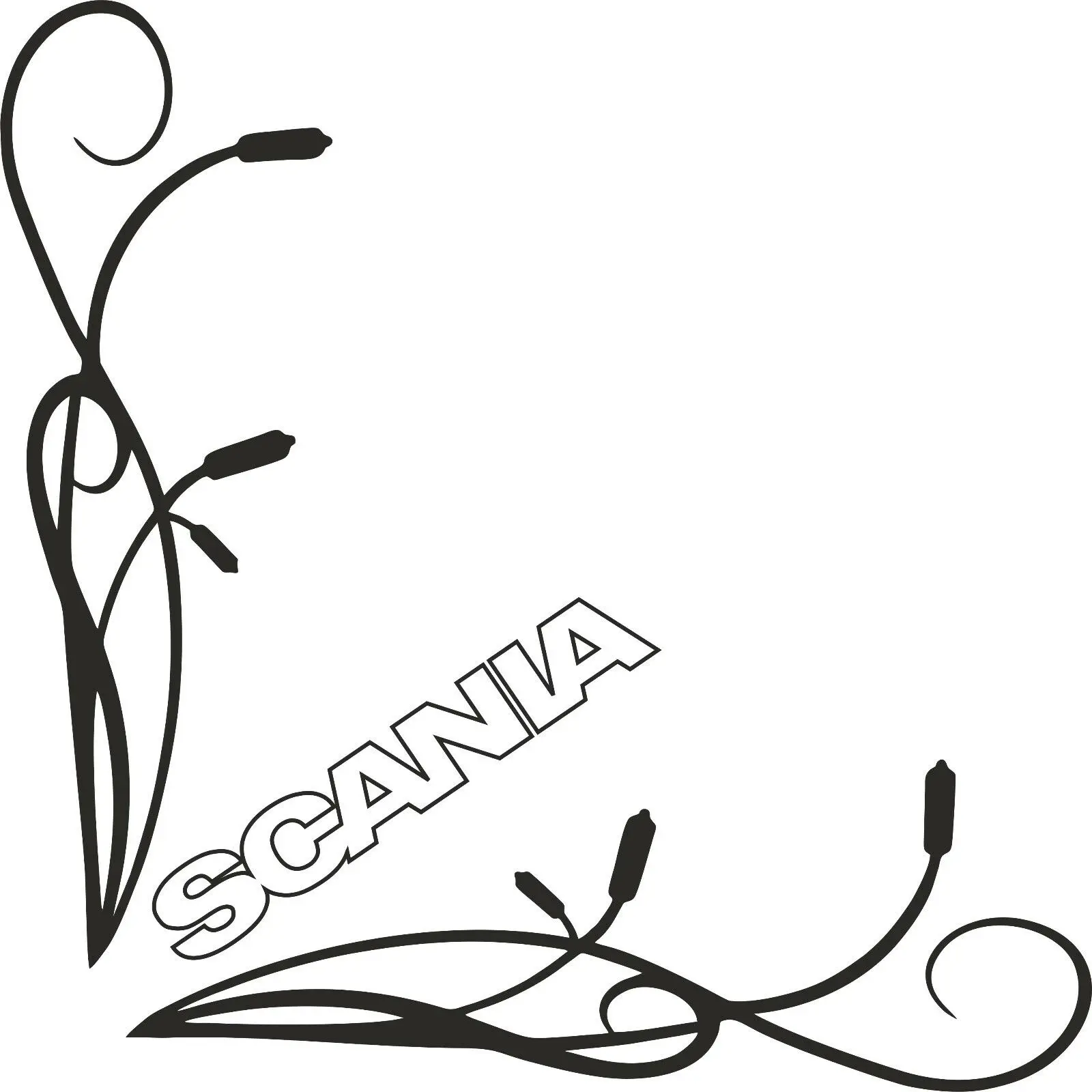 

Наклейка на боковое окно грузовика Scania для x2